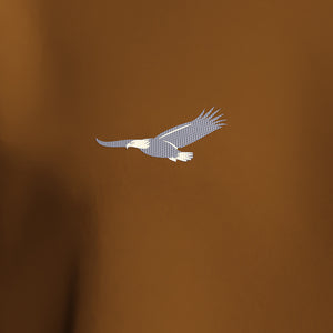 BROWN T-SHIRT KIDS EAGLE / HER GÅR DET GODT